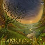 Artwork voor "Black Mountain"