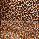 Portada para "First Call"