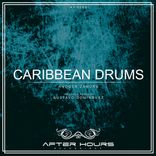 Artwork für "Caribbean Drums"