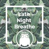 Artwork für "Late Night Breathe"