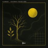 Artwork for "Yesterday Passed Here"