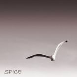 Artwork für "Spice"