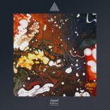 Artwork voor "Reflexions of the Universe"