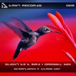 Artwork for "Slight As A Bird"