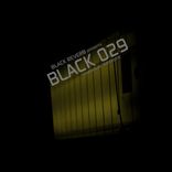 Artwork for "Black 029"