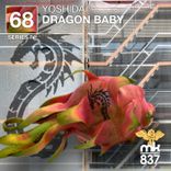Artwork for "Dragon Baby"