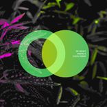 Artwork for "Animals"