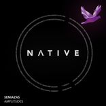 Artwork for "Amplitudes"