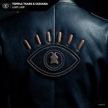 Artwork for "Liar Liar"