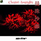 Artwork for "Cluster-Amaryllis"
