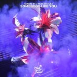 Artwork for "Somebody Like You"