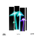 Portada para "Bad Trip"