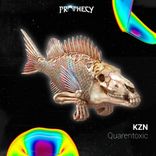 Artwork voor "Quarentoxic"