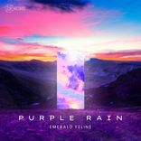 Artwork für "Purple Rain"