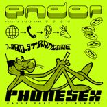 Portada para "Phonesex"