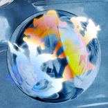 Artwork for "Goin Up"