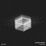 Artwork for "Formation"