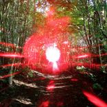 Artwork für "Endure"