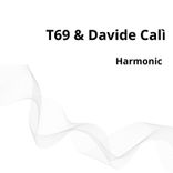 Artwork for "Harmonic"