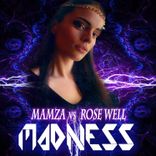 Artwork voor "Madness"