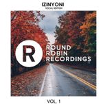 Portada para "IZINYONI Vocal Edition, Vol. 1"