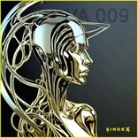 Artwork for "SINDEX VA 009"