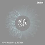 Artwork for "Redux Selection, Vol. 1 / 2023"