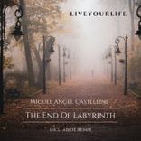 Portada para "The End of Labyrinth"
