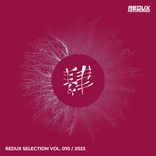 Artwork voor "Redux Selection Vol. 10 / 2023"