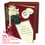 Portada para "Lucky Wedding"