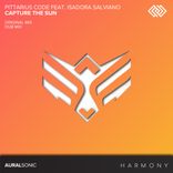 Artwork for "Capture The Sun"