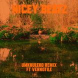 Artwork for "Umkhuleko"