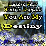 Artwork voor "You Are My Destiny"