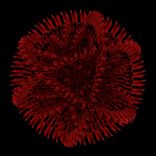 Artwork for "UN LABEL CORP ACT 1 (V.A)"