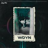 Artwork for "WDYN"