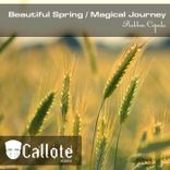 Artwork for "Beautiful Spring / Magical Journey"