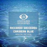 Artwork for "Caribean Blue"