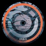 Sunlight Filters Through