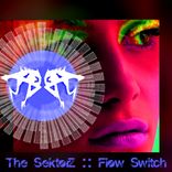 Portada para "Flow Switch"