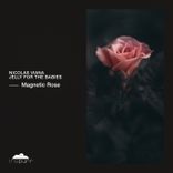 Artwork for "Magnetic Rose"