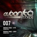 Artwork für "Hype / Kinky"