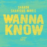 Portada para "Wanna Know"