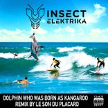 Artwork for "Dolphin Who Was Born as Kangaroo"