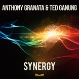 Artwork for "Synergy"