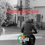 Artwork voor "Spotted Diamond"