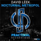 Artwork for "Nocturnal Metropol"