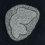 Artwork for "I know her story"