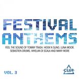 Artwork voor "Festival Anthems Volume 2"