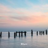 Portada para "Happiness"