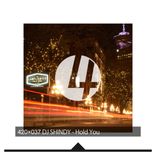 Artwork for "Hold You"